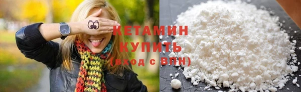 индика Няндома