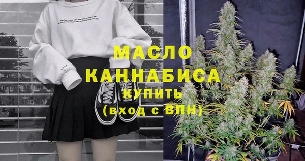 индика Няндома