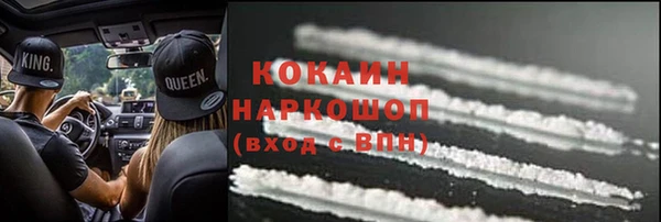 индика Няндома