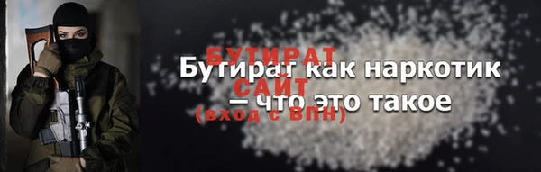 индика Няндома