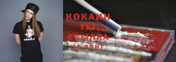 индика Няндома