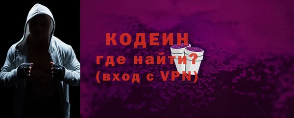 индика Няндома