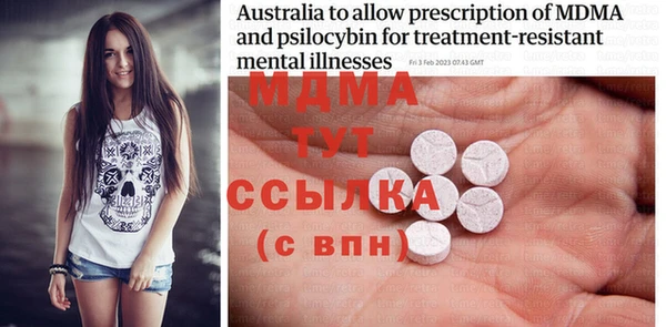 индика Няндома
