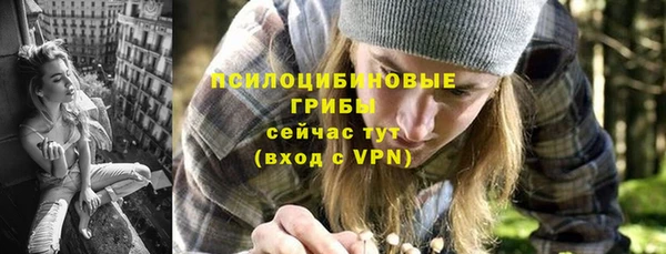 ECSTASY Нязепетровск