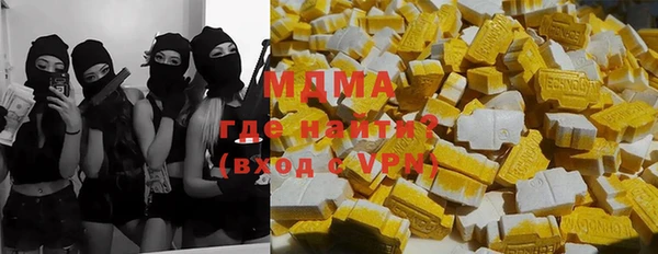 индика Няндома