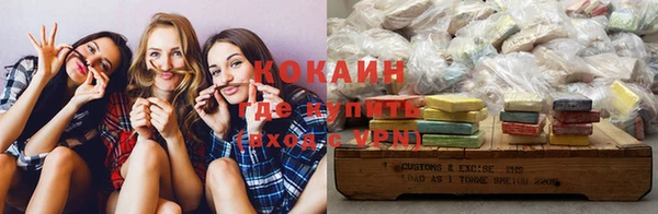 индика Няндома