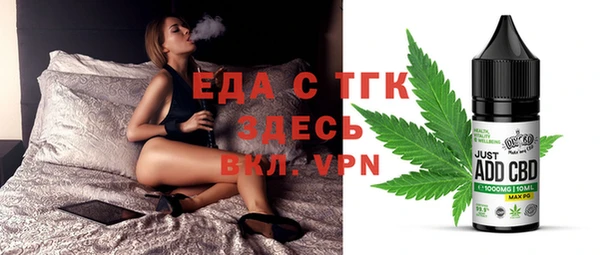 индика Няндома