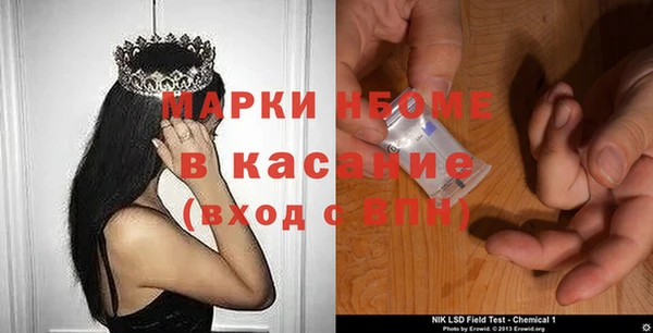 индика Няндома